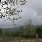 комплекс тянкови къщи Feriested *