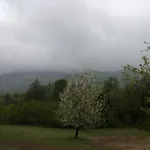 комплекс тянкови къщи Feriested *