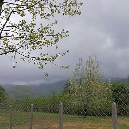 комплекс тянкови къщи 度假村 *