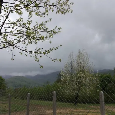 комплекс тянкови къщи 度假村 *