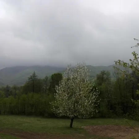комплекс тянкови къщи Resort *